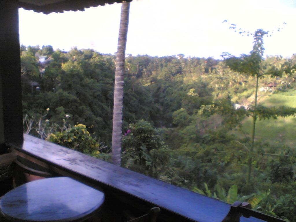 Sanggingan Villa Ubud Extérieur photo